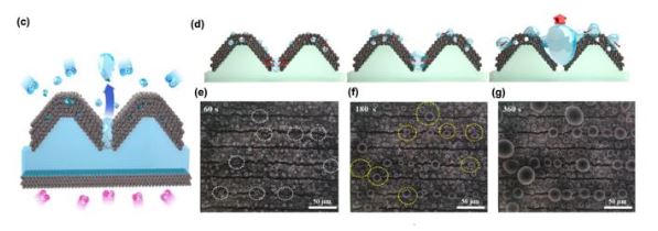 Optimization of electrode gaps to improve water management in fuel cells