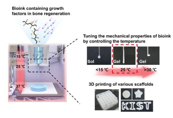 Tuning mechanical properties of bioink according to temperature and 3d scaffold printing