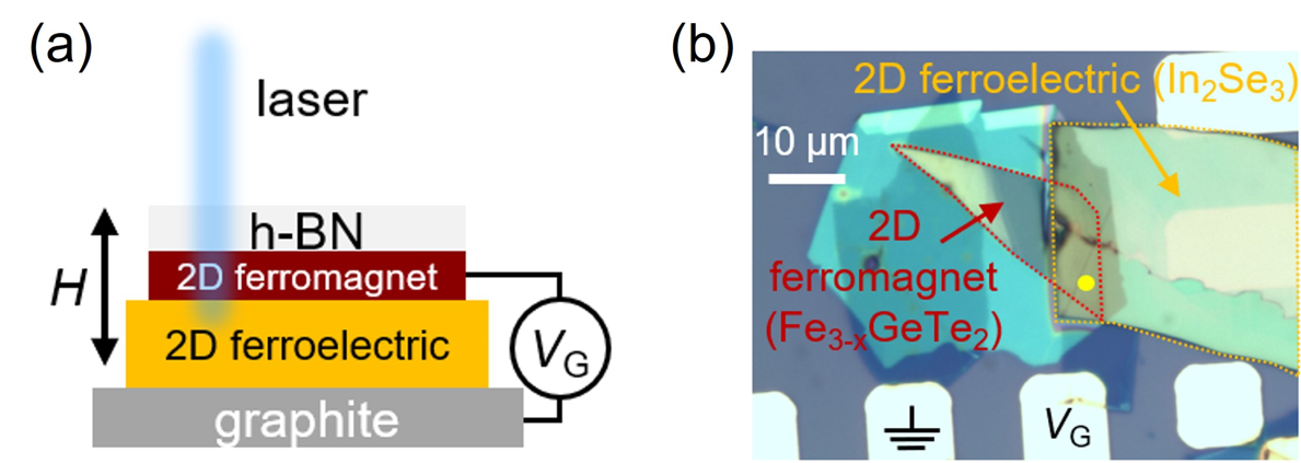 Schematics and optical image of the two-dimensional(2D) material heterostructure device