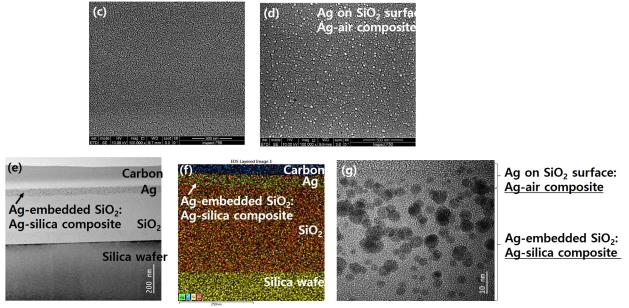 SEM/TEM analysis of the silica layer showing well-defined silver nanoparticles on the surface.