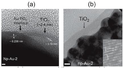 금박막표면에 분산된 TiO2 입자들에 대한 투과전자현미경 사진