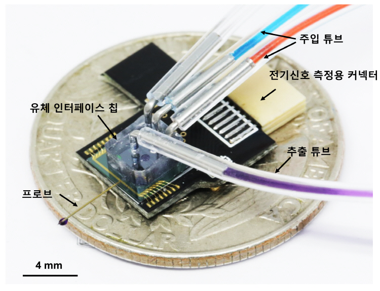 유체 및 전기인터페이스가 패키징된 브레인 칩