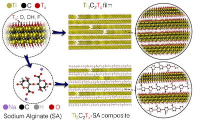 Ti3C2Tx 및 Ti3C2Tx-SA 고분자 복합체 필름 제조 모식도