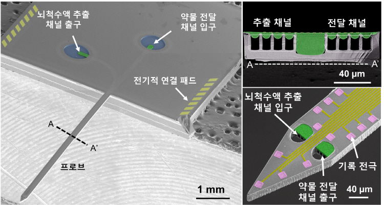 개발된 브레인 칩의 전자현미경 사진