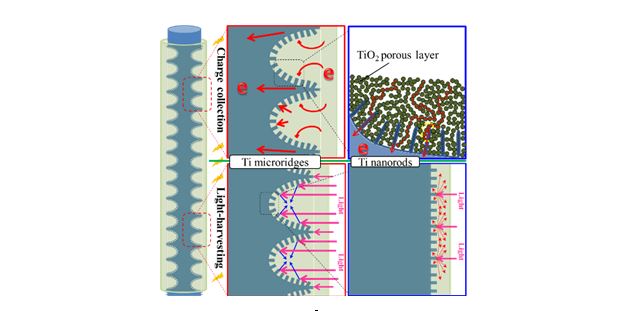 Ti microridge/nanorod 로 표면 개질된 티타늄와이어를 포함한 계층구조 photoanode 로부터 전하수집, 집광성, 구조적 안정성이 향상된 FDSSCs의 성능 모식도.