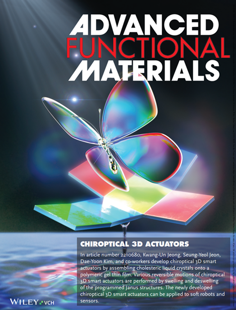 Advanced Functional Materials 논문 표지