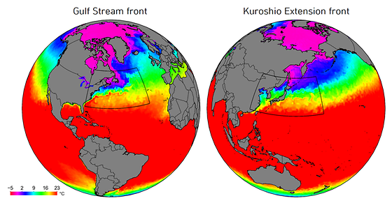 Atlantic & Pacific ocean fronts - Ocean fronts near the Gulf Stream and Kuroshio Currents that represent narrow regions where sea surface temperature sharply decreases northward.