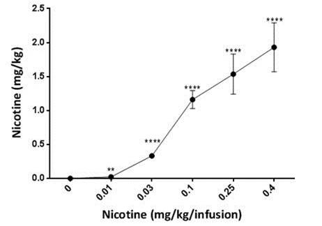 니코틴 중독, 뇌의 작은 RNA 네트워크가 이유