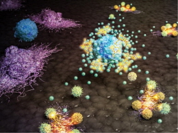 암세포의 면역반응성을 바꾸는 차세대 면역항암제